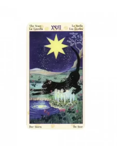 Pagan Cats Tarot Mini – Deep Tarot Set | Emagie.ro