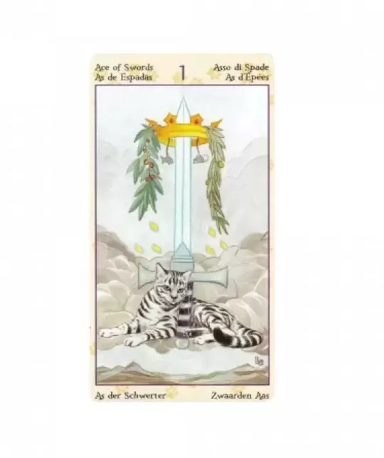 Pagan Cats Tarot Mini – Deep Tarot Set | Emagie.ro