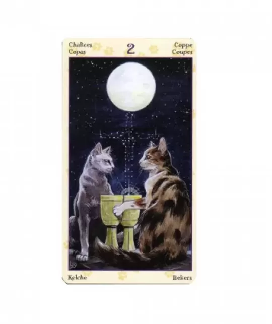 Pagan Cats Tarot Mini – Deep Tarot Set | Emagie.ro