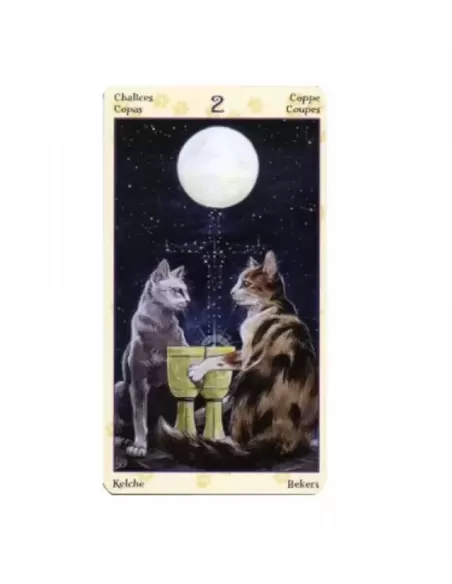 Pagan Cats Tarot Mini – Deep Tarot Set | Emagie.ro