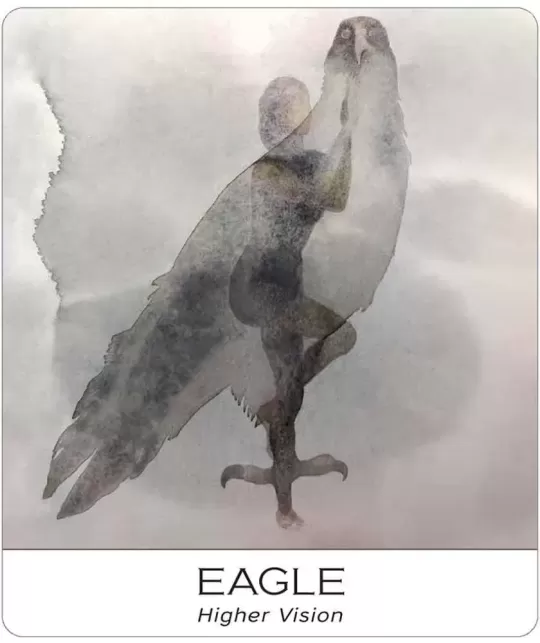 Nature And Soul Wisdom Yoga – Set tarot echilibrat | Emagie.ro