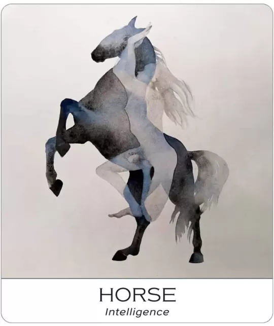 Nature And Soul Wisdom Yoga – Set tarot echilibrat | Emagie.ro