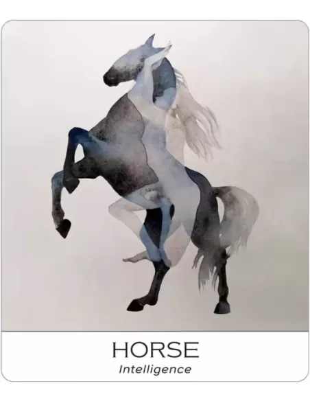 Nature And Soul Wisdom Yoga – Set tarot echilibrat | Emagie.ro