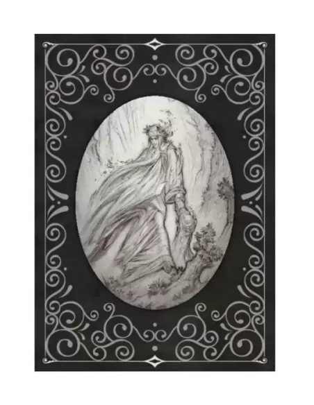 Dante S Inferno Oracle Cards – Set tarot captivant | Emagie.ro