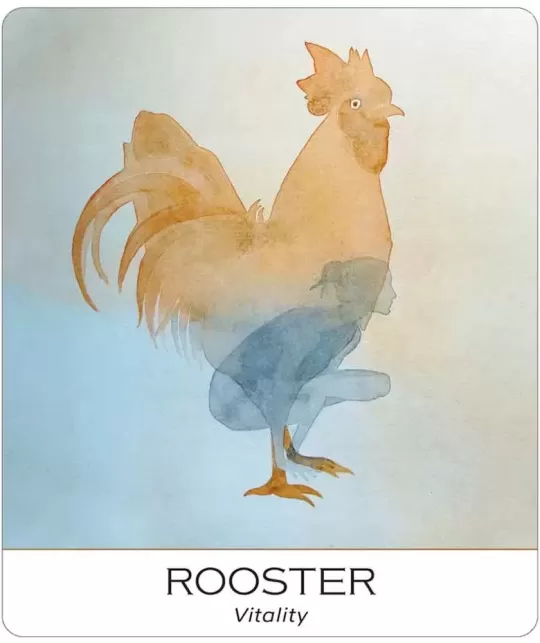 Nature And Soul Wisdom Yoga – Set tarot echilibrat | Emagie.ro