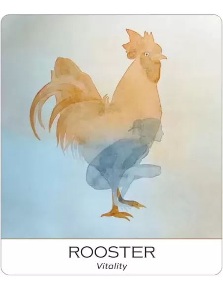 Nature And Soul Wisdom Yoga – Set tarot echilibrat | Emagie.ro