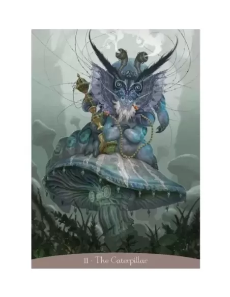 Alice In Wonderland Oracle Cards – Captivating Oracle Set | Emagie.ro