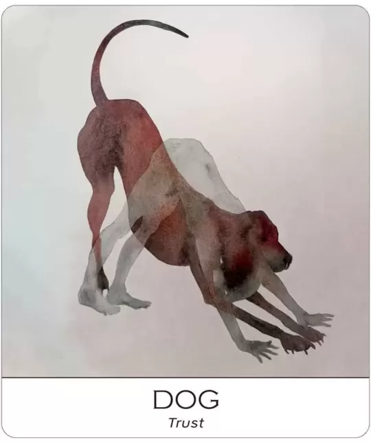 Nature And Soul Wisdom Yoga – Set tarot echilibrat | Emagie.ro