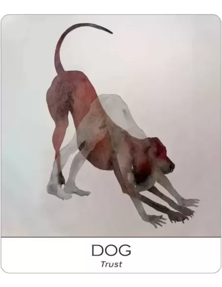 Nature And Soul Wisdom Yoga – Set tarot echilibrat | Emagie.ro