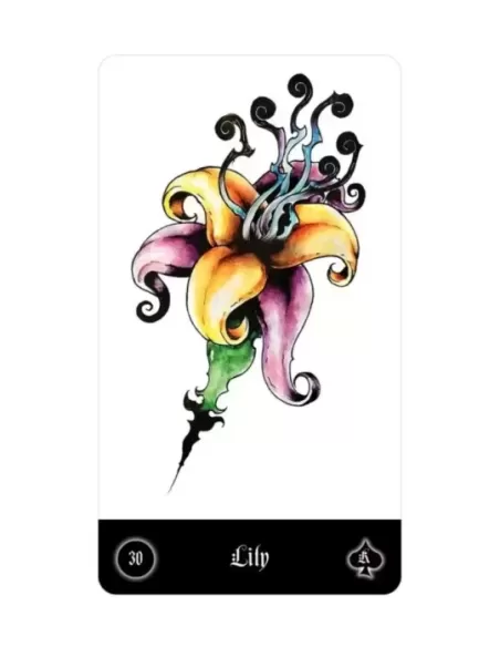 Malefique Lenormand – Tarot Deck elegant | Emagie.ro