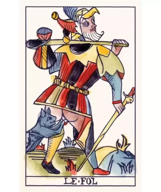 Playing Marseille Tarot – Set tarot practic | Emagie.ro