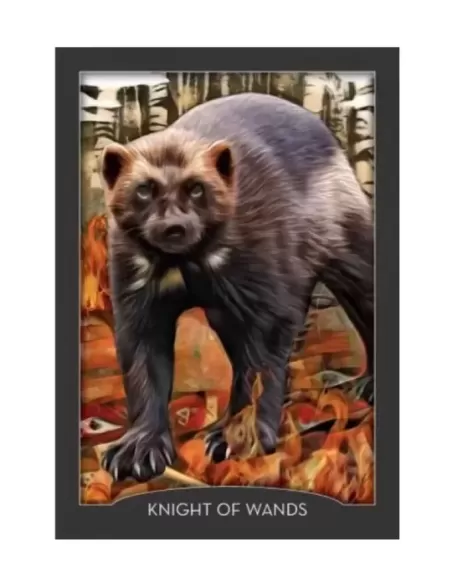 Guardian of the Night Tarot Cards – Introspective Tarot Set | Emagie.ro