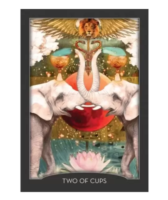 Guardian of the Night Tarot Cards – Introspective Tarot Set | Emagie.ro