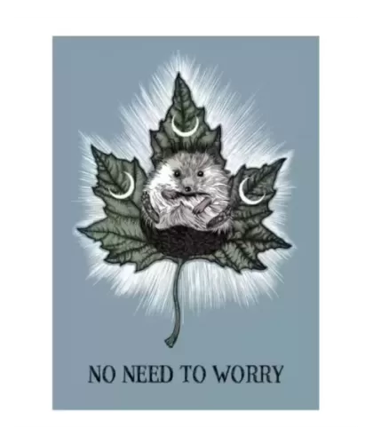 Crystal Ball Pocket Oracle Cards – Set tarot misterios | Emagie.ro 2