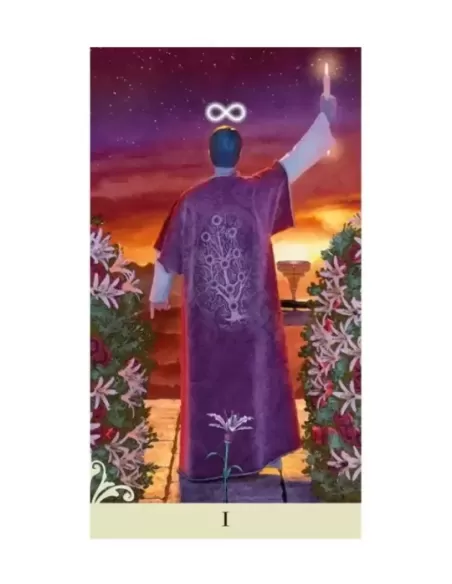 VICE VERSA TAROT CARDS – Set tarot inovator | Emagie.ro