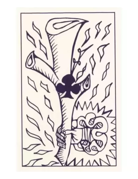 Playing Marseille Tarot – Set tarot practic | Emagie.ro