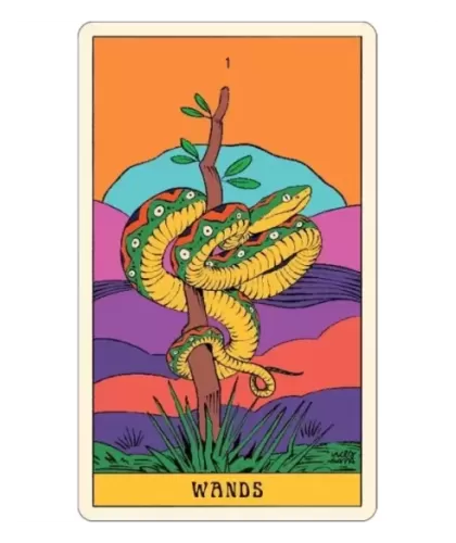 Mystical Forest Tarot – Set tarot mistic | Emagie.ro 2