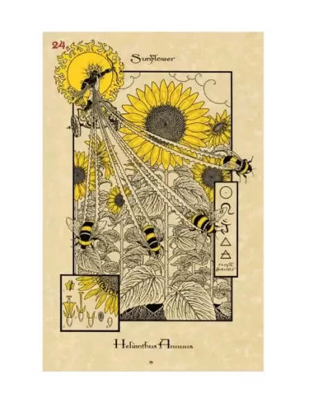 THE MAGICKAL BOTANICAL ORACLE CARDS – Set oracol inspirat | Emagie.ro