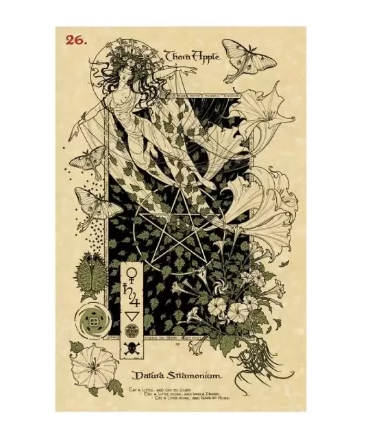 THE MAGICKAL BOTANICAL ORACLE CARDS – Set oracol inspirat | Emagie.ro