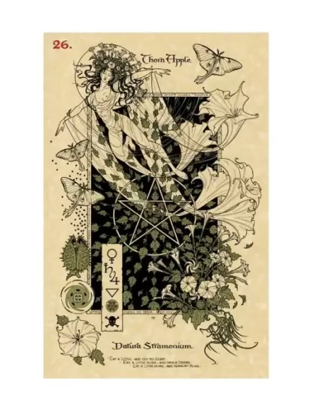 THE MAGICKAL BOTANICAL ORACLE CARDS – Set oracol inspirat | Emagie.ro