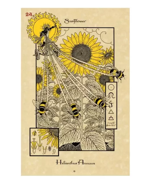 THE MAGICKAL BOTANICAL ORACLE CARDS – Set oracol inspirat | Emagie.ro