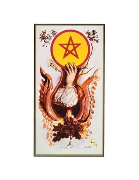 Salvador Dali Deluxe Tarot Gilded Deck and Book Set Gold – Set tarot premium | Emagie.ro