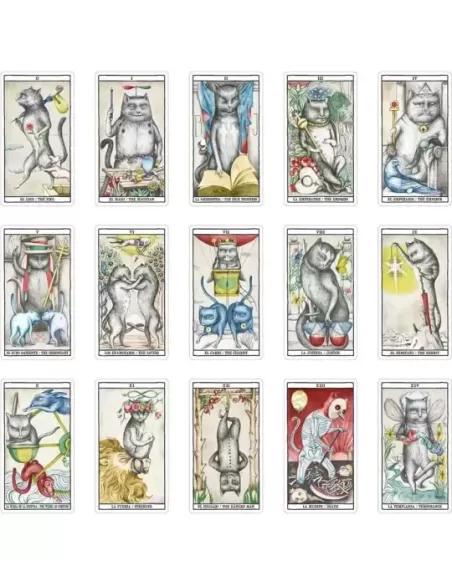 CATS BY ANA JUAN – Set tarot elegant | Emagie.ro