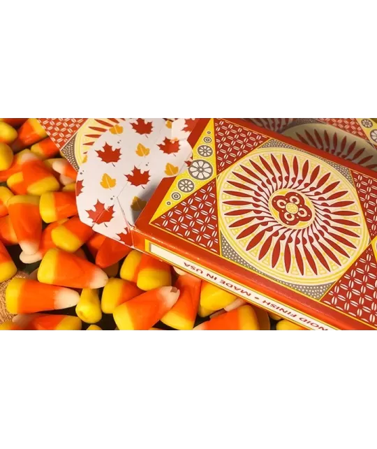 Tally-Ho Autumn Circle Back – Cărți de joc premium | Emagie.ro