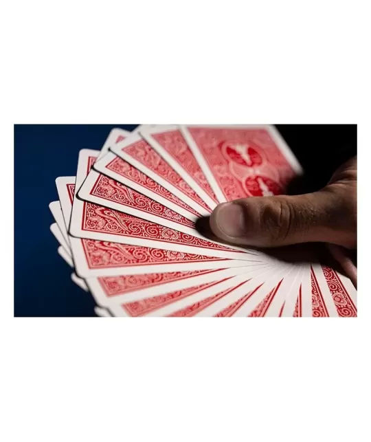 Bicycle 809 Mandolin – Cărți de joc clasice | Emagie.ro