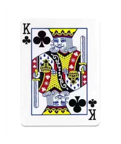 Tally-Ho Circle Back – Cărți de joc premium | Emagie.ro 2