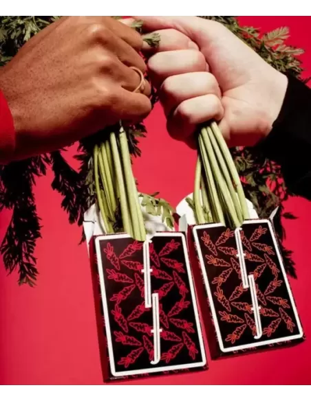 Carrots v2 Fontaine – Cărți de joc premium | Emagie.ro