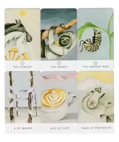 Tarot White Sage In A Tin – Set tarot elegant | Emagie.ro 2