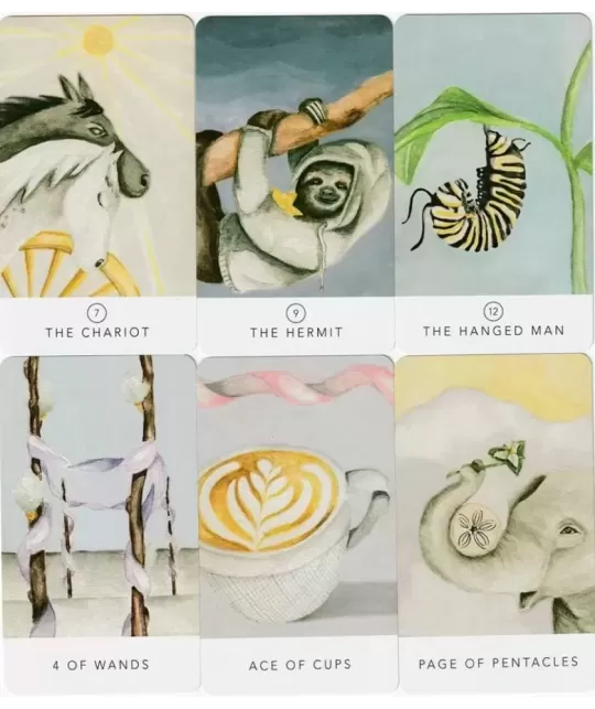 Tarot White Sage In A Tin – Set tarot elegant | Emagie.ro