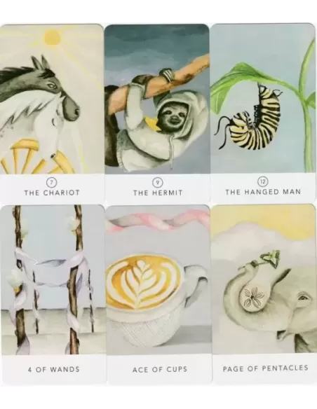 Tarot White Sage In A Tin – Set tarot elegant | Emagie.ro