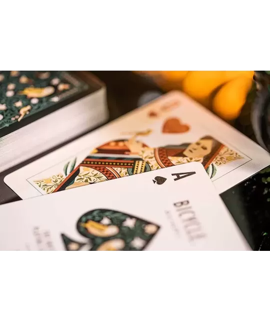 Bicycle Aviary – Premium Playing Cards | Emagie.ro
