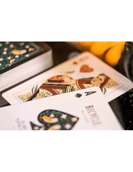Bicycle Aviary – Premium Playing Cards | Emagie.ro