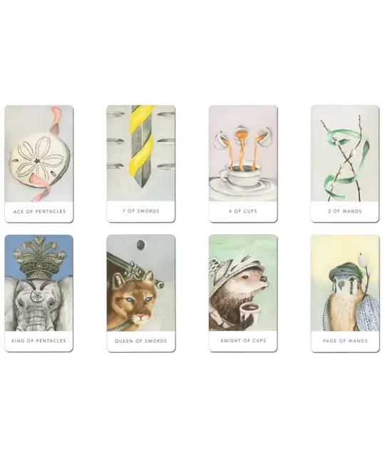 Tarot White Sage In A Tin – Set tarot elegant | Emagie.ro