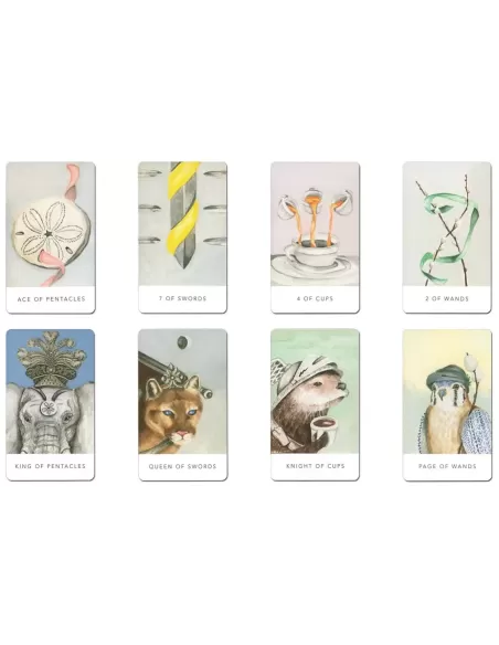 Tarot White Sage In A Tin – Set tarot elegant | Emagie.ro