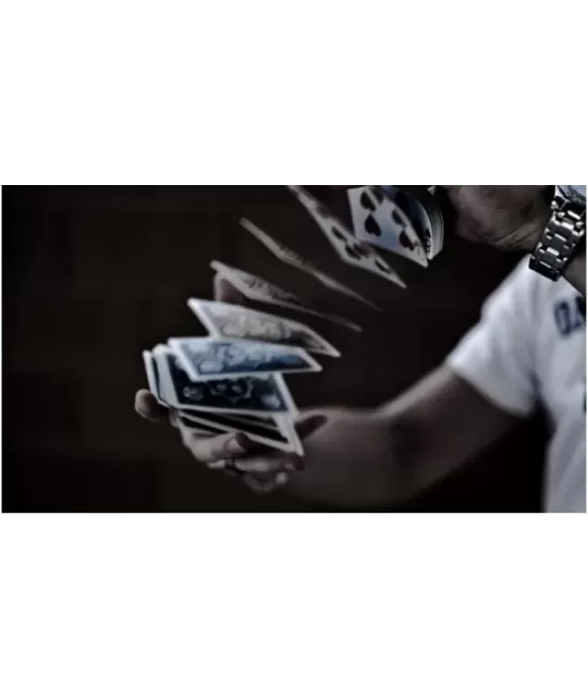 Tally-Ho Fan Back – Premium Playing Cards | Emagie.ro