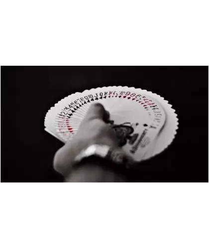 Tally-Ho Fan Back – Premium Playing Cards | Emagie.ro 2