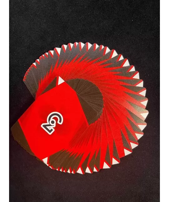 Cardistry Fanning Red – Cărți de joc premium | Emagie.ro