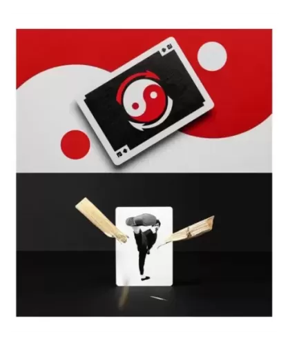 Official Bruce Lee by Dan and Dave – Cărți de joc premium | Emagie.ro