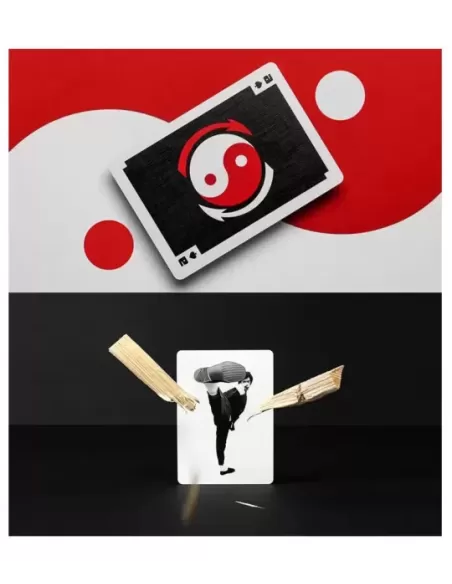 Official Bruce Lee by Dan and Dave – Cărți de joc premium | Emagie.ro