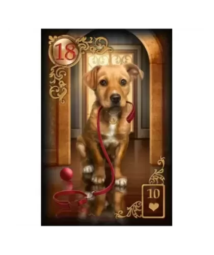 Tarot Gilded Reverie Lenormand Expanded – Set tarot elegant | Emagie.ro