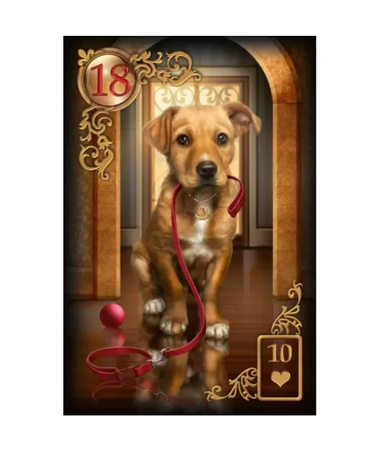 Tarot Gilded Reverie Lenormand Expanded – Set tarot elegant | Emagie.ro