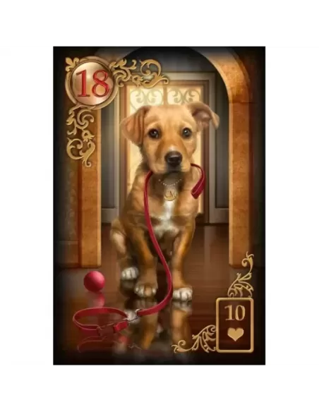 Tarot Gilded Reverie Lenormand Expanded – Set tarot elegant | Emagie.ro