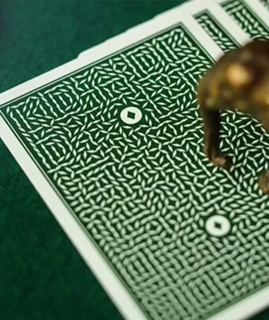 DMC ELITES Marked Deck Forest Green Phantom – Cărți de joc premium | Emagie.ro