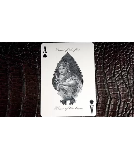 Kings Wild Americanas – Premium Playing Cards | Emagie.ro