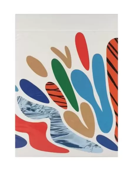 Splash – Vibrant Playing Cards | Emagie.ro