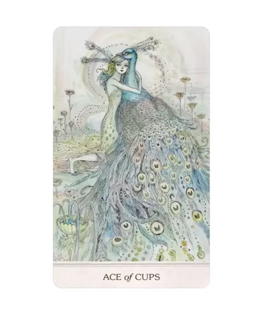 Phantasma Tarot – Set tarot profund | Emagie.ro